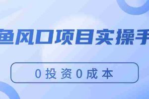（11923期）闲鱼风口项目实操手册，0投资0成本，让你做到，月入过万，新手可做
