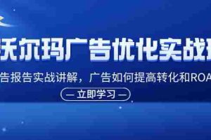 （11847期）沃尔玛广告优化实战班，广告报告实战讲解，广告如何提高转化和ROAS等