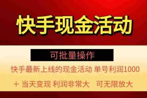 （11819期）快手新活动项目！单账号利润1000+ 非常简单【可批量】（项目介绍＋项目…