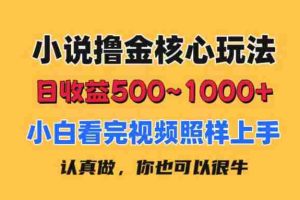 （11461期）小说撸金核心玩法，日收益500-1000+，小白看完照样上手，0成本有手就行