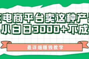 （11206期）最新在电商平台发布这种产品，新手小白日入3000+不成问题，最详细赚钱教学