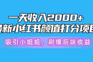 （10187期）一天收入2000+，最新小红书颜值打分项目，吸引小姐姐，刷爆后端收益