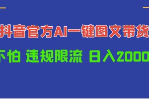 （10005期）日入1000+抖音官方AI工具，一键图文带货，不怕违规限流