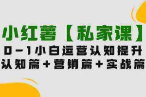 （9910期）小红薯【私家课】0-1玩赚小红书内容营销，认知篇+营销篇+实战篇（11节课）