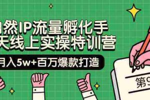 （9881期）自然IP流量孵化手 14天线上实操特训营【第9期】月入5w+百万爆款打造 (74节)