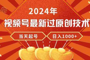 （9565期）2024年视频号最新过原创技术，当天起号，收入稳定，日入1000+