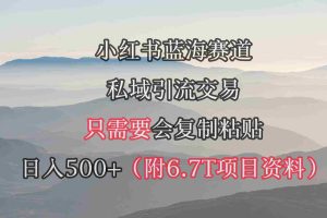 （9487期）小红书短剧赛道，私域引流交易，会复制粘贴，日入500+（附6.7T短剧资源）