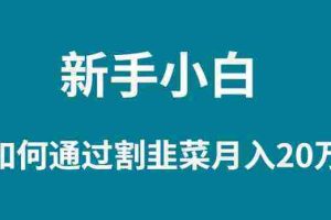 （9308期）新手小白如何通过割韭菜月入 20W