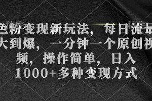 （9282期）色粉变现新玩法，每日流量大到爆，一分钟一个原创视频，操作简单，日入1…