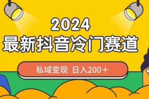 （8960期）2024抖音最新冷门赛道，私域变现轻松日入200＋，作品制作简单，流量爆炸