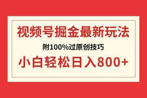 （8826期）视频号掘金，小白轻松日入800+（附100%过原创技巧）