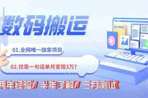 （8253期）年底最火持久副业,仅靠一句话一月变现3W?