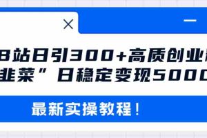 （8216期）最新B站日引300+高质创业粉教程！“割韭菜”日稳定变现5000+！