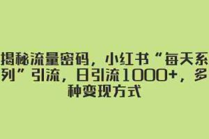 （8179期）揭秘流量密码，小红书“每天系列”引流，日引流1000+，多种变现方式