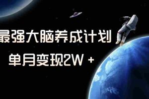 （8078期）冷门虚拟项目，最强大脑养成计划，一个月变现2W＋