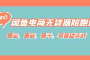 （7215期）闲鱼电商无货源陪跑课，最全、最新、最干，零基础实战！
