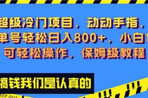 （8205期）超级冷门项目,动动手指，单号轻松日入800+，小白也可轻松操作，保姆级教程