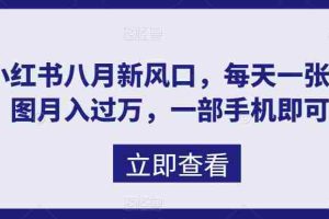 （6851期）八月新风口，小红书虚拟项目一天收入1000+，实战揭秘