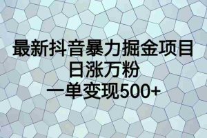 (6660期)最新抖音暴力掘金项目,日涨万粉,一单变现500+