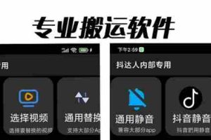 (6576期)对外收费699抖音傻瓜式一键搬运,起号专用5分钟一个视频《软件+详细教程》