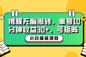 （6450期）小白新手福音：携程无脑搬砖项目，单号操作10分钟收益30+，可矩阵可放大