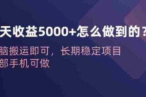 （6435期）一天收益5000+怎么做到的？无脑搬运即可，长期稳定项目，一部手机可做