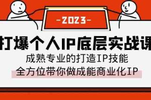（6417期）打爆·个人IP底层实战课，成熟专业的打造IP技能 全方位带你做成能商业化IP