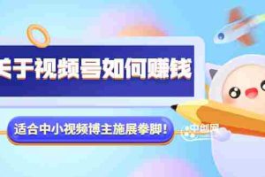 （3064期）某公众号付费文章《关于视频号如何赚钱》适合中小视频博主施展拳脚！