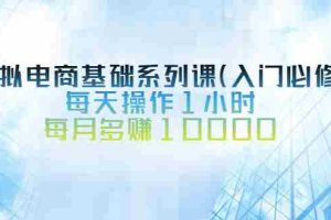 （2534期）虚拟电商基础系列课（入门必修），每天操作1小时，每月多赚10000