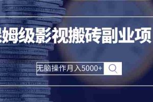 （2504期）保姆级影视搬砖副业项目 无脑操作月入5000+