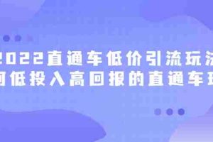 （2415期）2022直通车低价引流玩法，教大家如何低投入高回报的直通车玩法