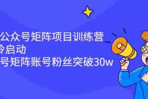 (2405期)蓝海公众号矩阵项目训练营,0粉冷启动,公众号矩阵账号粉丝突破30w