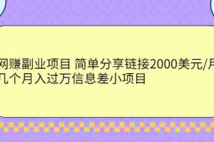 （2302期）网赚副业项目 简单分享链接2000美元/月+几个月入过万信息差小项目