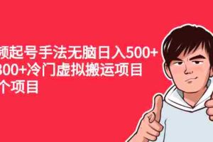 （2224期）中视频起号手法无脑日入500+日入300+冷门虚拟搬运项目（共11个项目）
