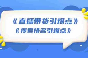 (1668期)王通《直播带货引爆点》+《搜索排名引爆点》(两套视频课)无水印