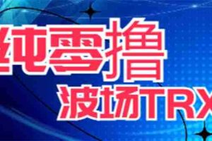 （6265期）最新国外零撸波场项目 类似空投,目前单窗口一天可撸10-15+【详细玩法教程】