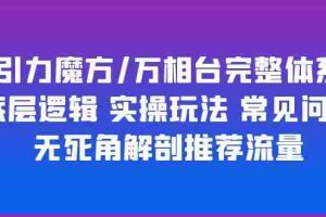 （6015期）引力魔方/万相台完整体系 底层逻辑 实操玩法 常见问题 无死角解剖推荐流量