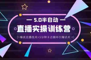 （3763期）蚂蚁·5.0半自动直播2345打法，半自动爆流直播技术+5分钟卡点循环引爆话术