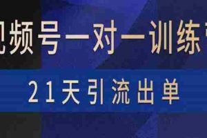 （3678期）视频号训练营：带货，涨粉，直播，游戏，四大变现新方向，21天引流出单