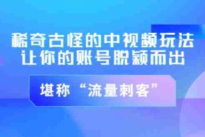 （3159期）稀奇古怪的中视频玩法，让你的账号脱颖而出，堪称“流量刺客”（图文+视频)