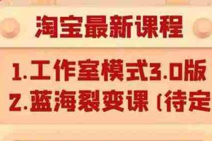 （1046期）淘宝无货源店群项目最新教程，轻松月入过万元（附全套软件）