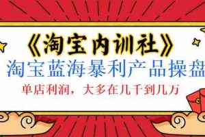 （1039期）《淘宝内训社》淘宝蓝海暴利产品操盘，单店利润，大多在几千到几万