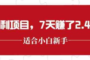 （15228期）最新暴利项目，每单收益轻松在300以上，7天赚了2.4万