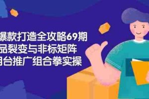 （15102期）淘宝爆款打造全攻略-69期，标品裂变与非标矩阵，万相台推广组合拳实操