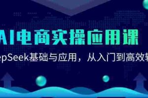（15075期）AI电商实操应用课：DeepSeek基础与应用，从入门到高效输出