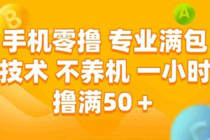 （15059期）手机零撸 专业满包技术 不养机 一小时撸满50+