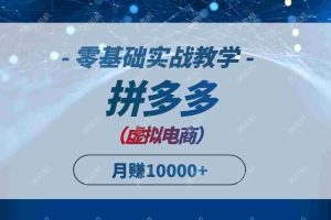 （14880期）拼多多虚拟电商，零基础实战教学，快速打爆商品，新手也能月入10000+