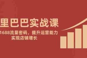 （14830期）阿里巴巴实战课：掌握1688流量密码，提升运营能力，实现店铺增长