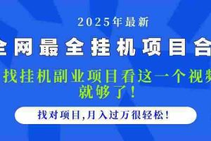 （14804期）2025最全挂机项目合集 找项目看这一个视频就够了，做对项目月入过万很…