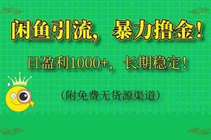 （14647期）闲鱼引流，暴力撸金，日盈利1000+，长期稳定！（附免费无货源渠道）